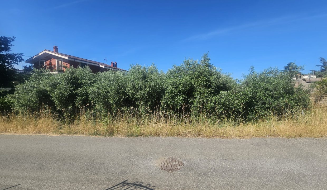 WhatsApp Image 2025-06-05 at 15.59.30 (1)