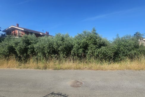 WhatsApp Image 2025-06-05 at 15.59.30 (1)