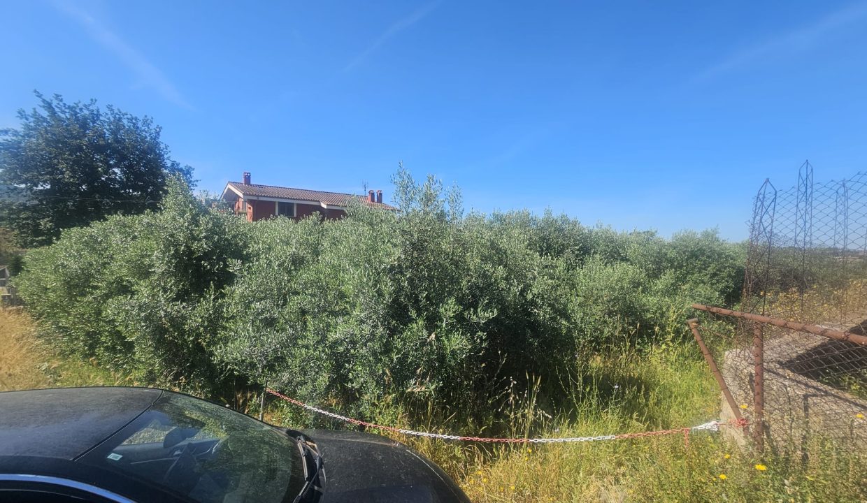 WhatsApp Image 2025-06-05 at 15.59.30 (2)