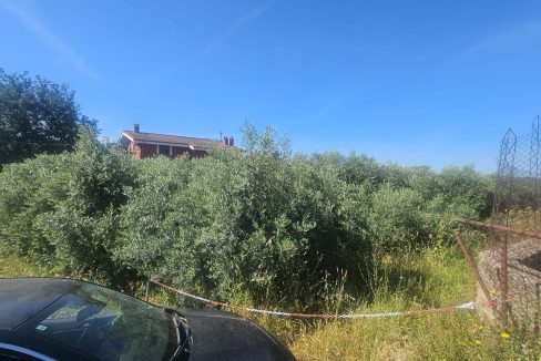 WhatsApp Image 2025-06-05 at 15.59.30 (2)