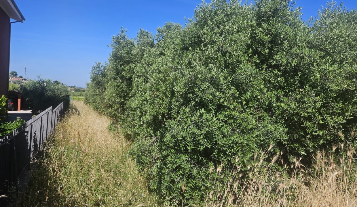 WhatsApp Image 2025-06-05 at 15.59.30 (3)