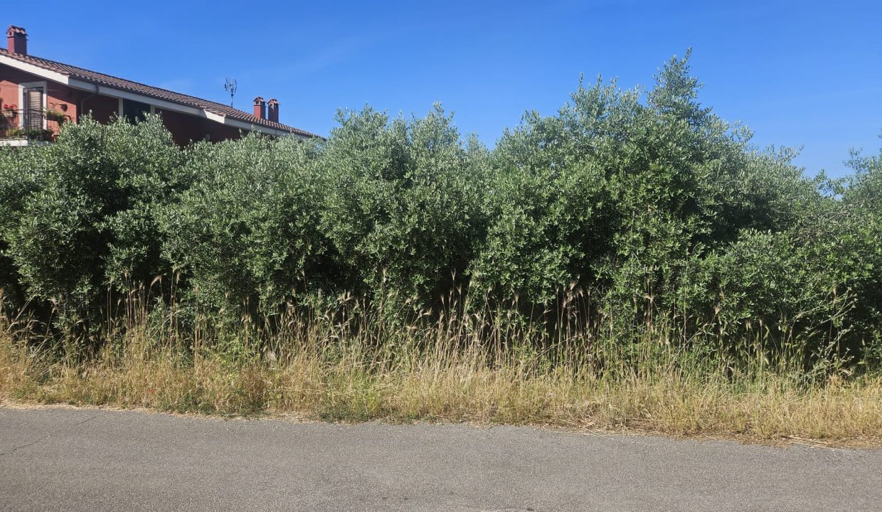 WhatsApp Image 2025-06-05 at 15.59.30 (4)