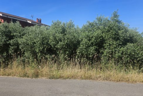 WhatsApp Image 2025-06-05 at 15.59.30 (4)